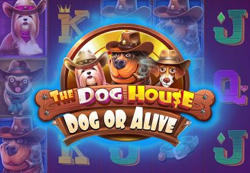 Microgaming - игровой автомат онлайн от Various с RTP 95.7%